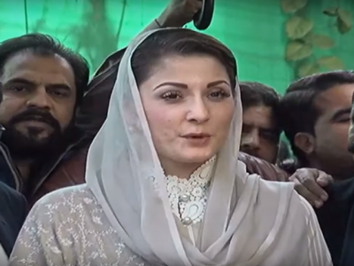 میں خاموش تھی تو اس کی بہت سی وجوہات ہوسکتی ہیں، مریم نواز