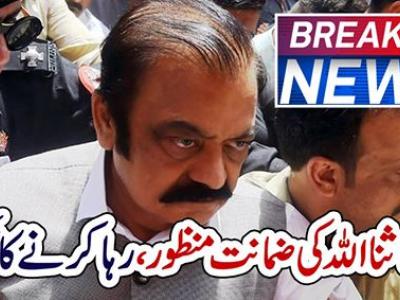 منشیات برآمدگی کیس، رانا ثنا اللہ کی ضمانت منظور ،رہا کرنے کا حکم ‎