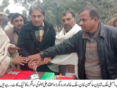 پاکستان پیپلز پارٹی ایک نظریئے اور فکر کا نام ہے ،ملک شاہان حاکمین خان