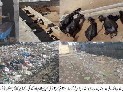 اٹک، ڈیری فارم کی بدبو ، غلاظت سے مکینوں کا جینا محال