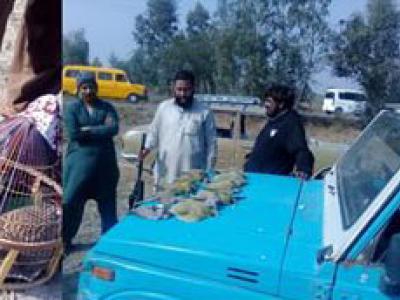  تیتر کا غیر قانونی شکار کرنے والوں کیخلاف کارروائی