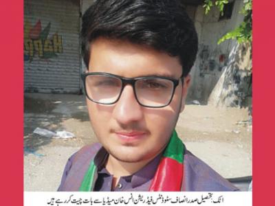 ٹائیگر فورس کے قیام سے ملک میں انقلاب آئے گا ، انس خان