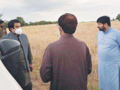 اسسٹنٹ کمشنرز کا بارش اورژالہ باری سے متاثرہ علاقوں کا دورہ