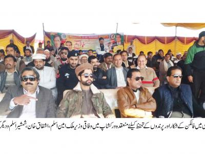 فالکنز کے شکار کیلئے باقاعدہ قانون سازی کرینگے ، ملک امین اسلم