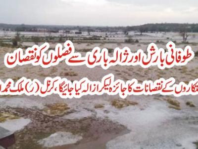  کاشتکاروں کے نقصانات کا جائزہ لیکر مکمل ازالہ کیا جائیگا،کرنل(ر) انور