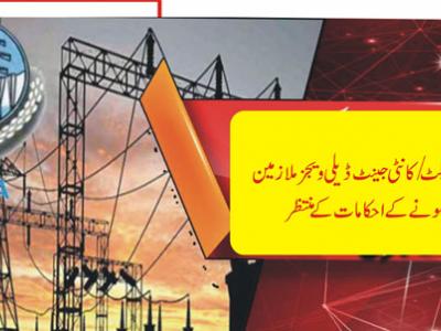  واپڈا کے کنٹریکٹ /کانٹی جينٹ ڈيلی ويجز ملازمین مستقل ہونے کے احکامات کے منتظر